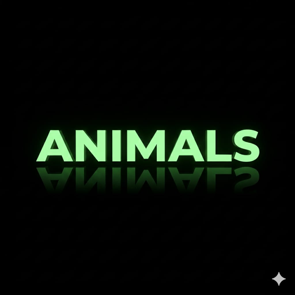 Animals