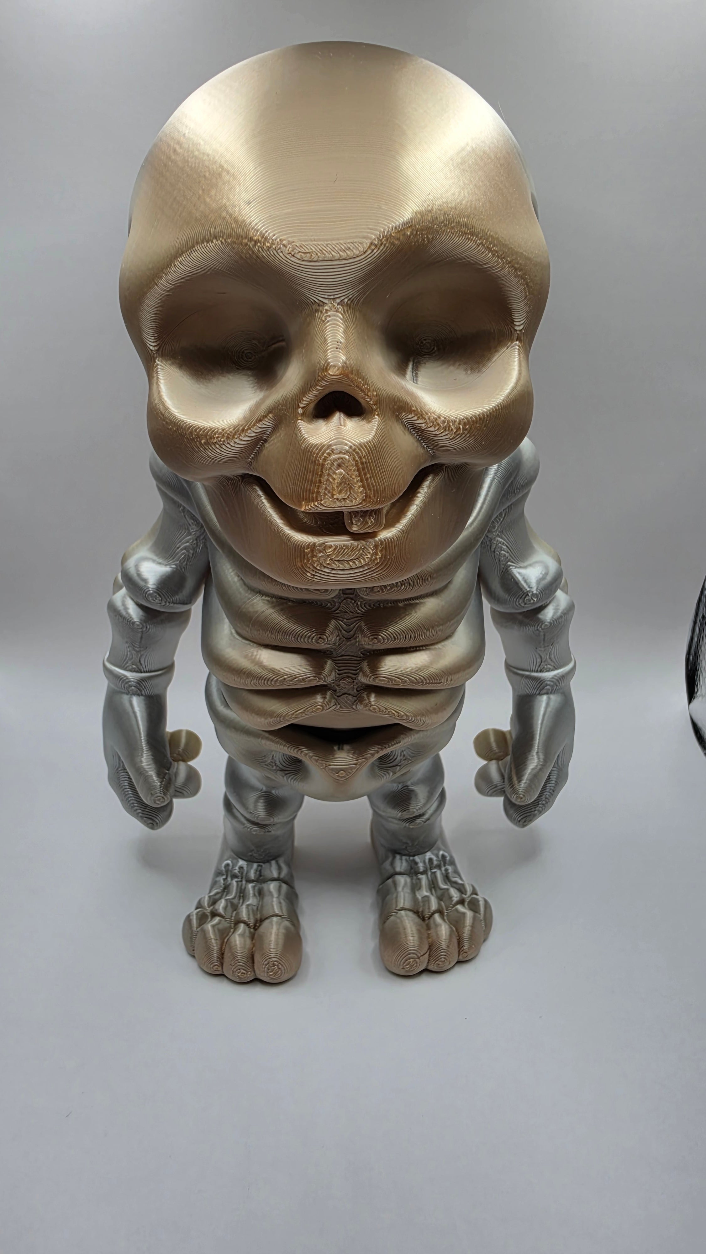 Flexi Skeleton