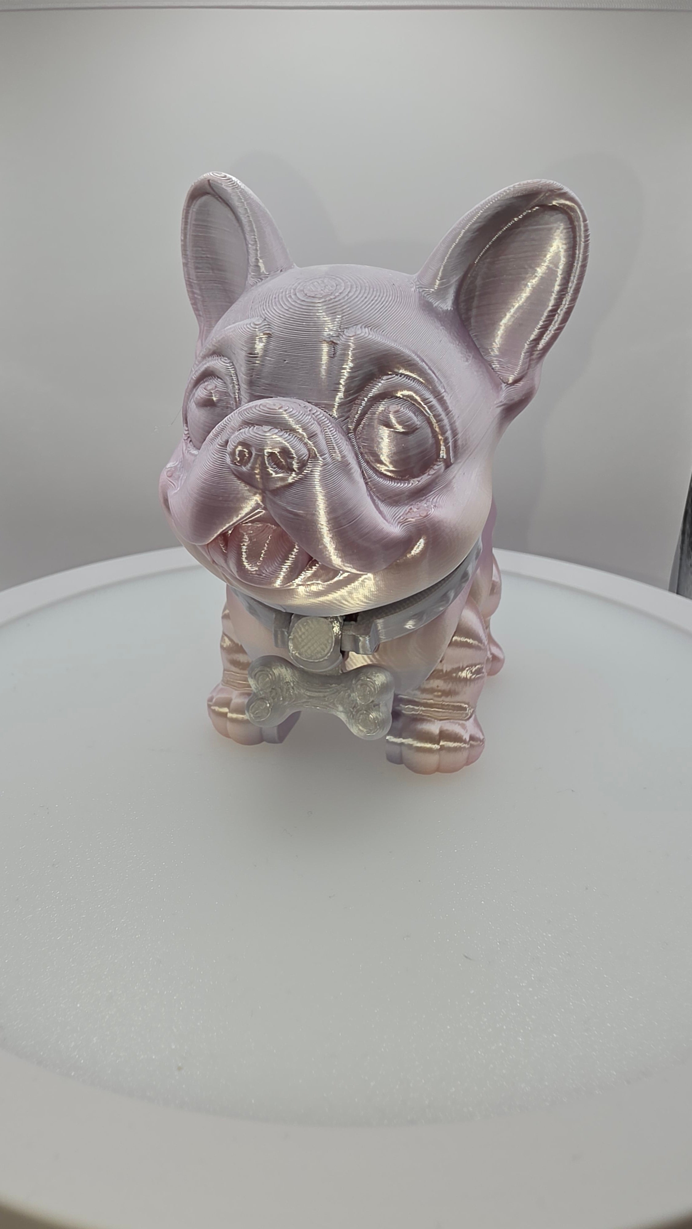 Frenchie Flexi
