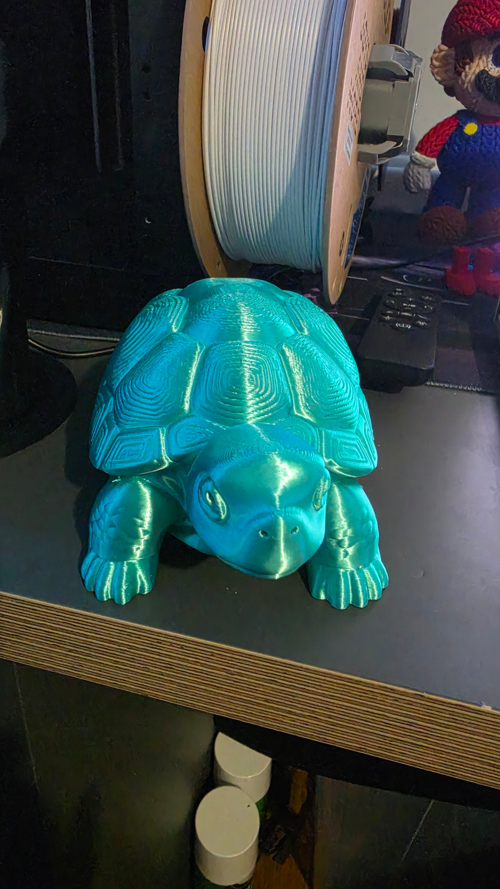 Tilly Tortoise