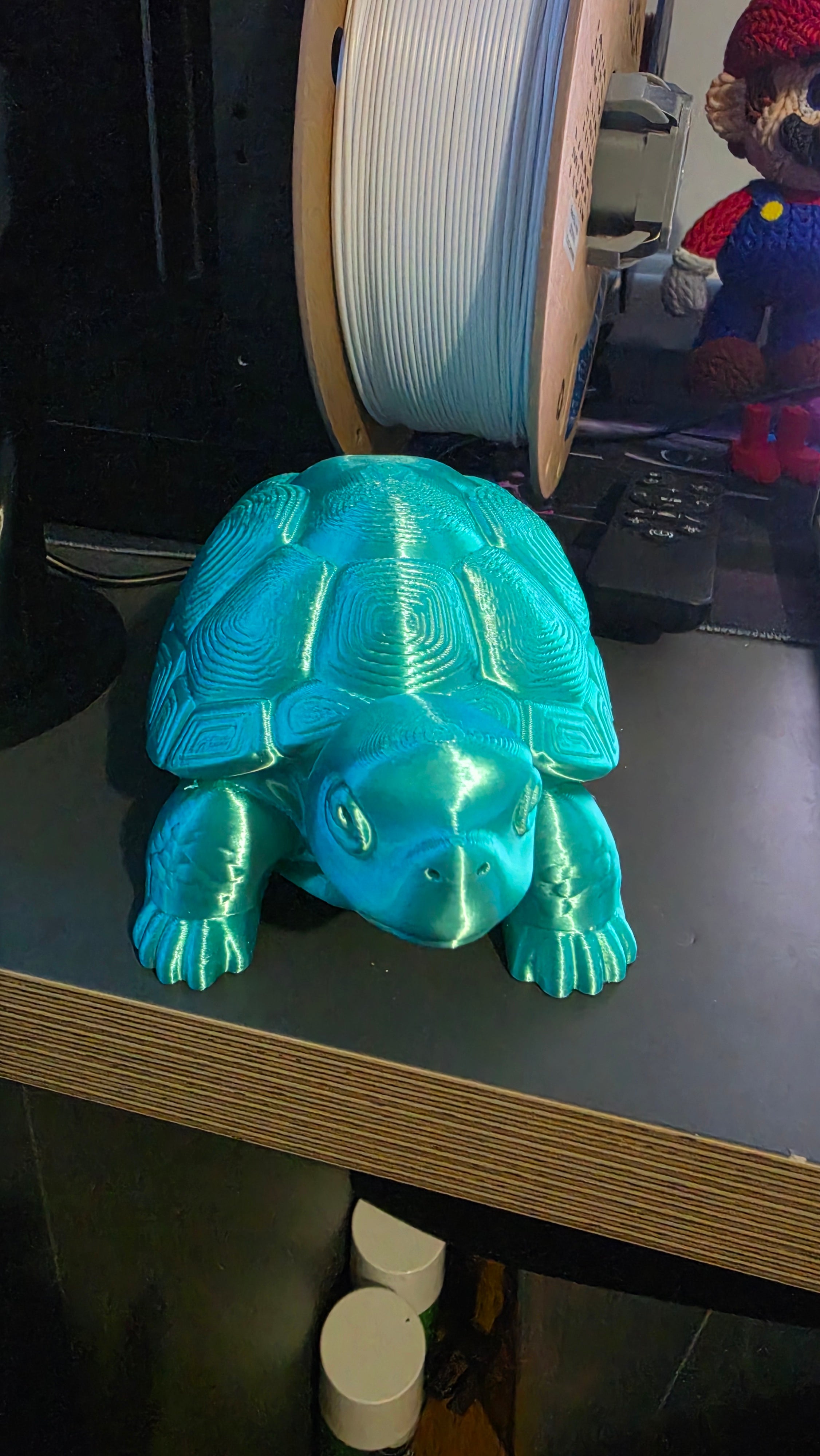 Tilly Tortoise