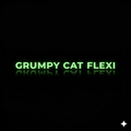 Grumpy Cat Flexi