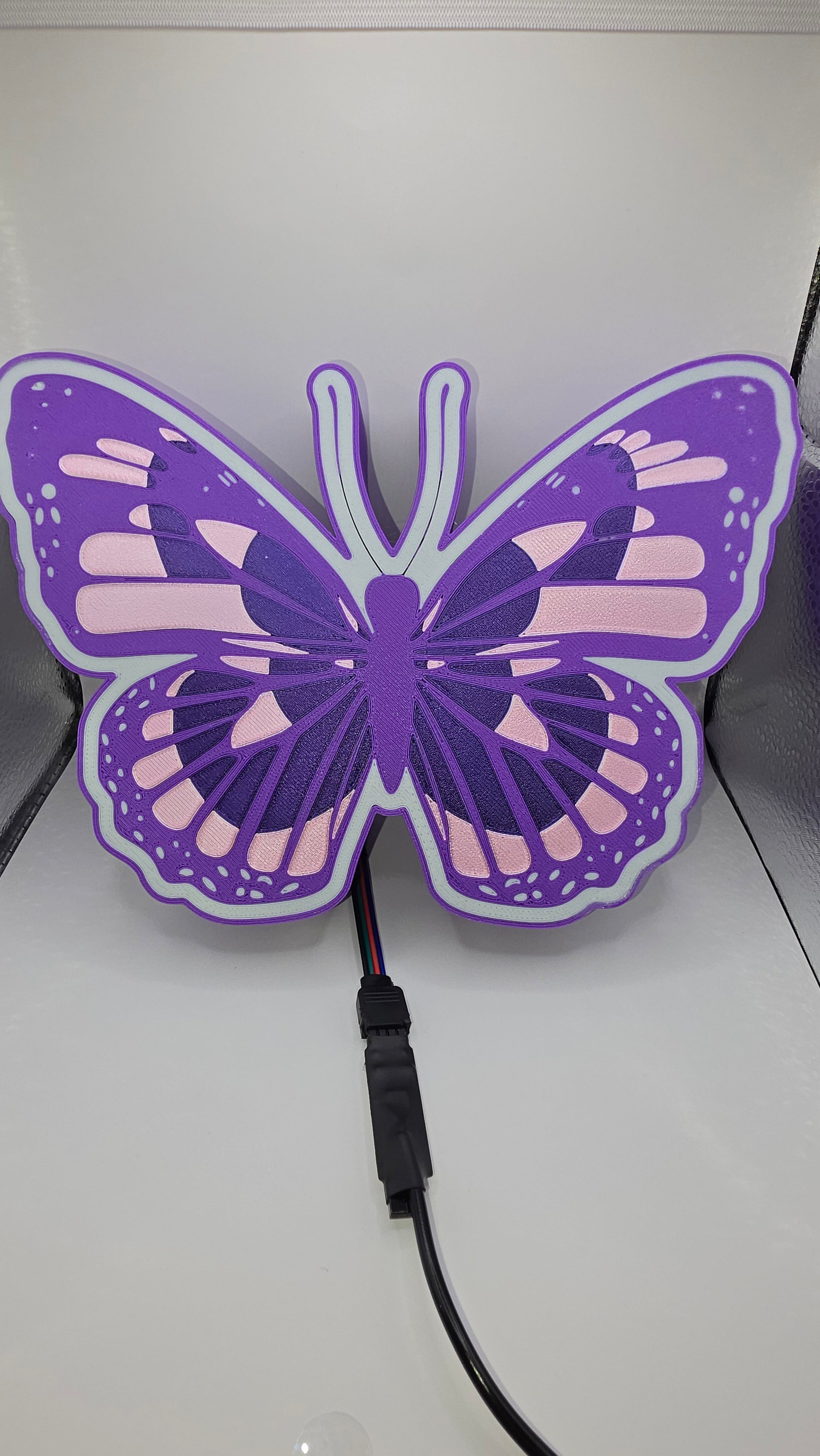 Butterfly Lightbox