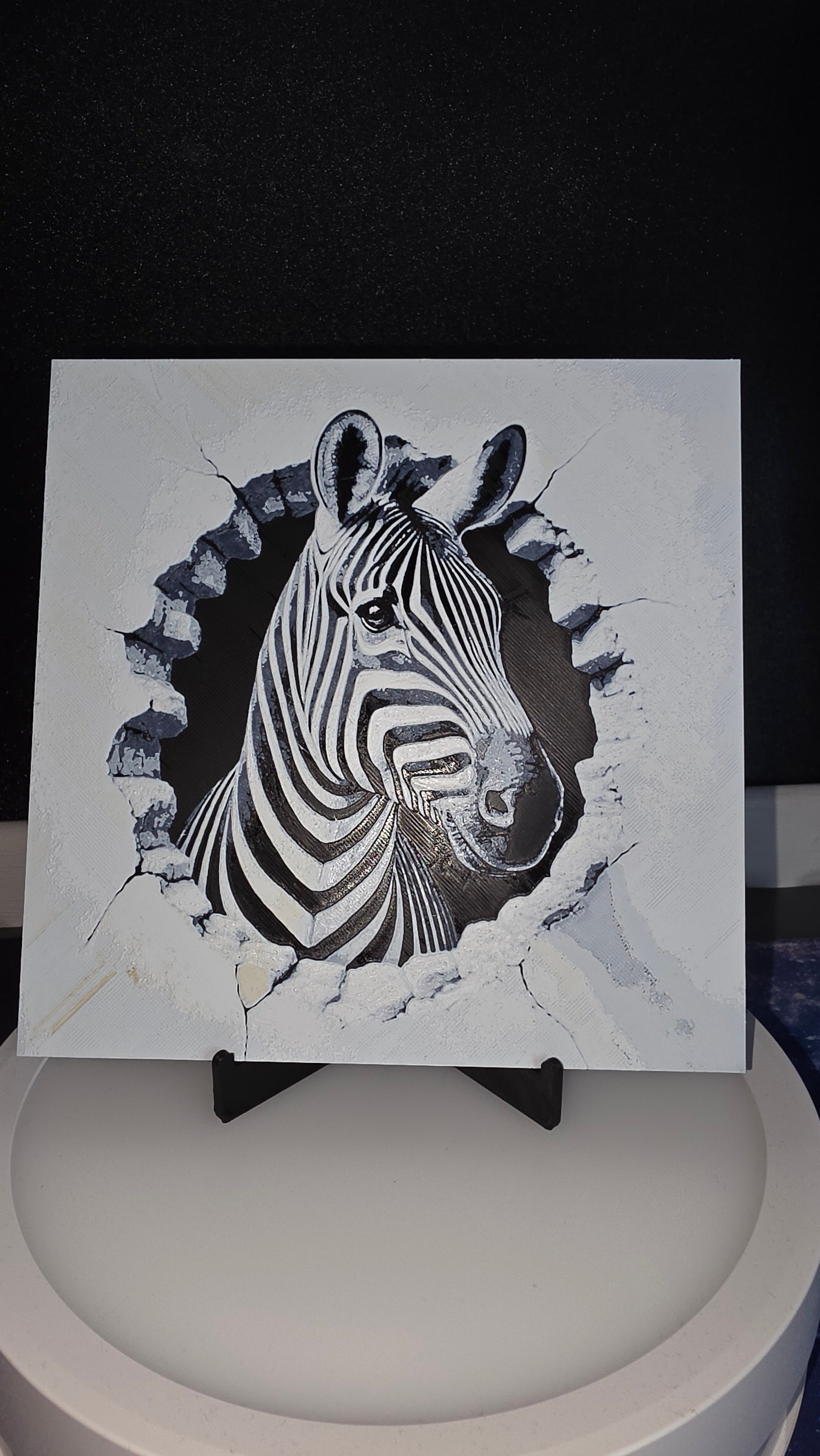 Zebra wall pic