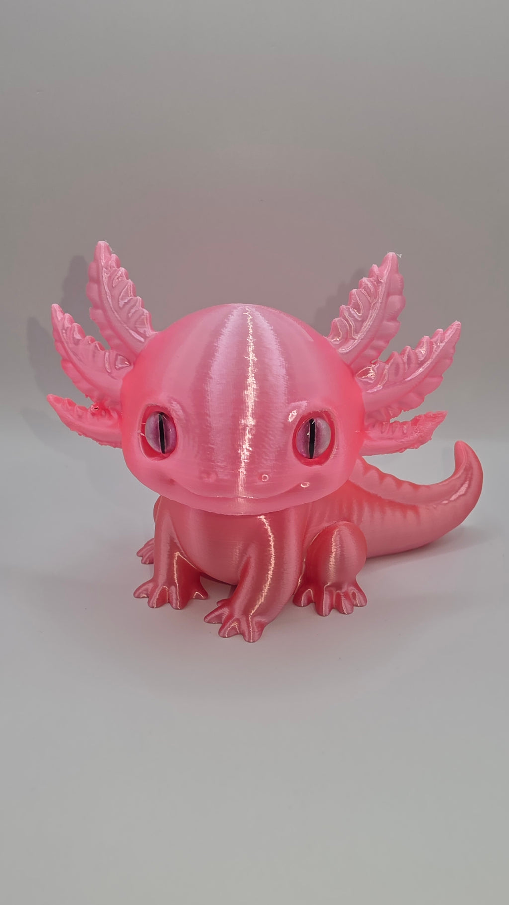 Axolotl