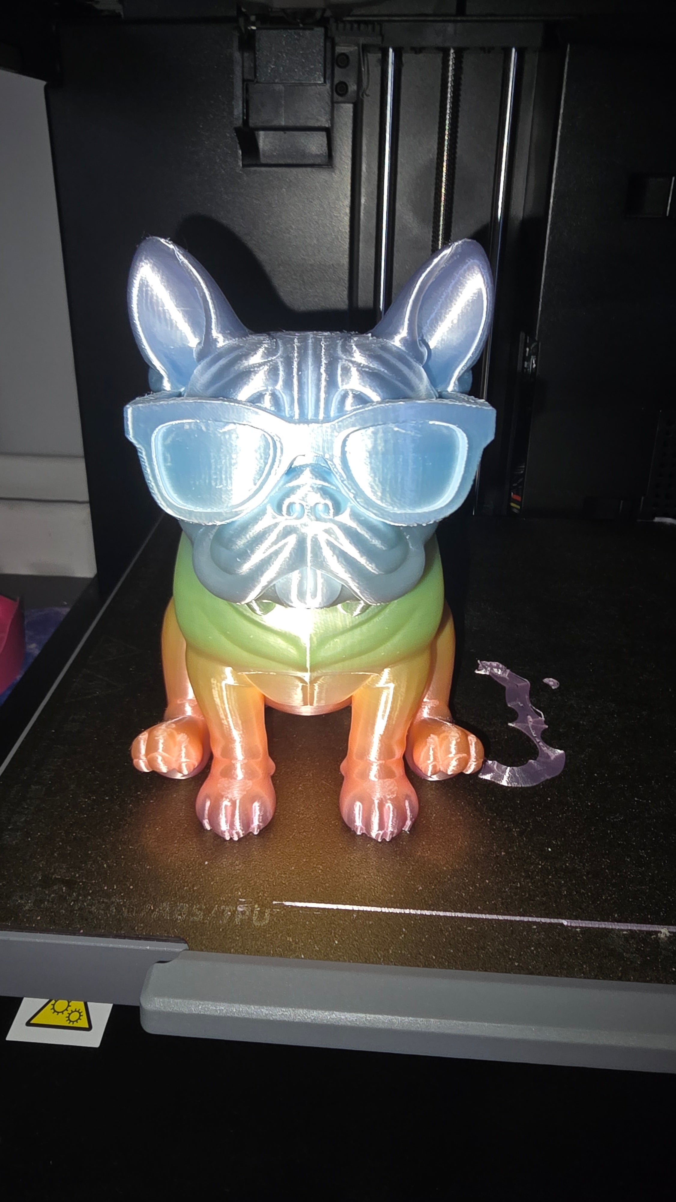 Sitting Frenchie with glasses