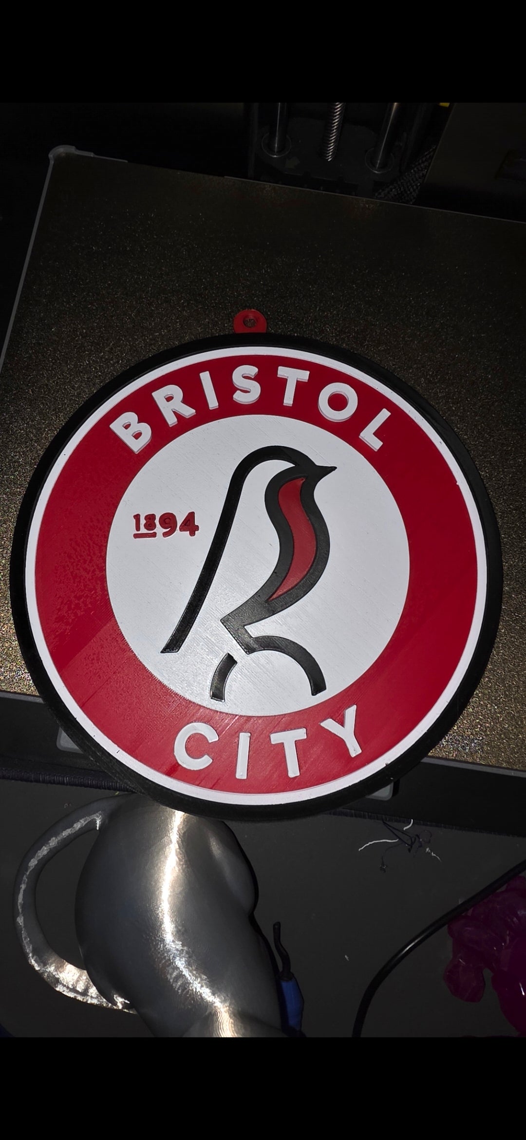 Bristol City Wall Art