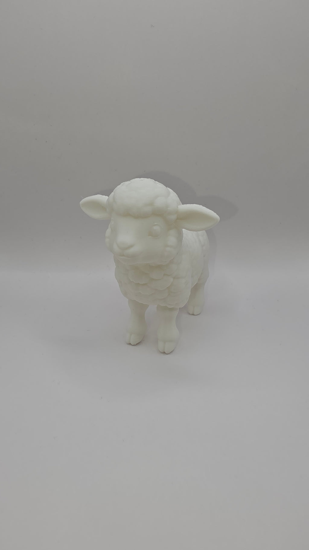 Little Lamb