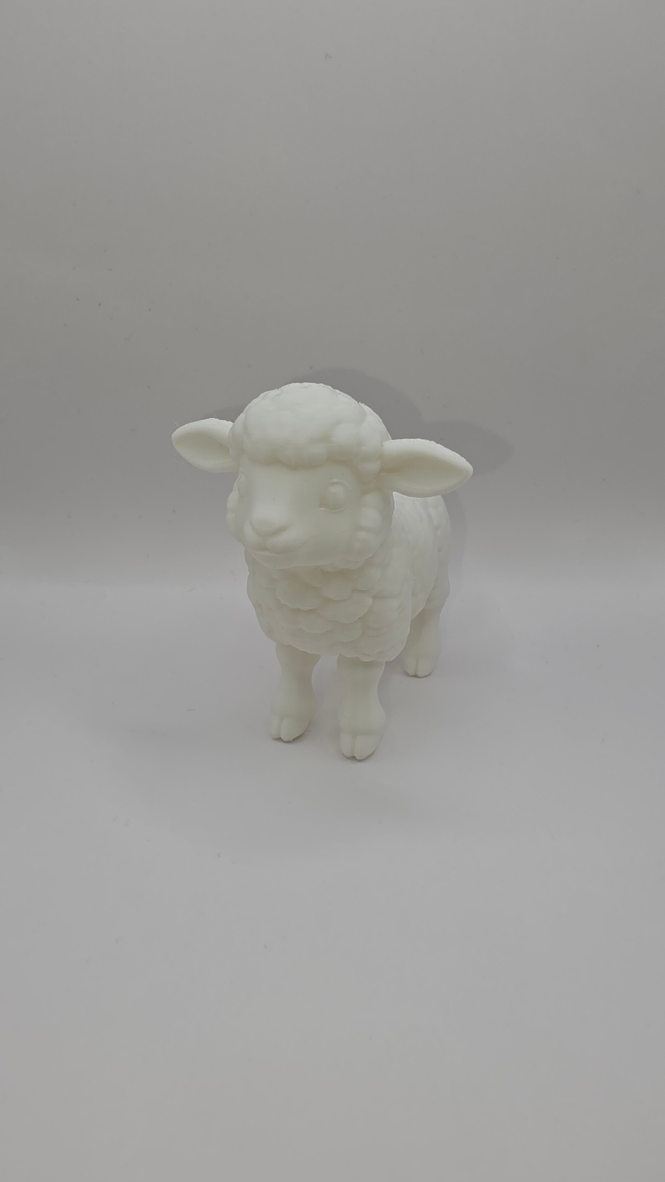 Little Lamb