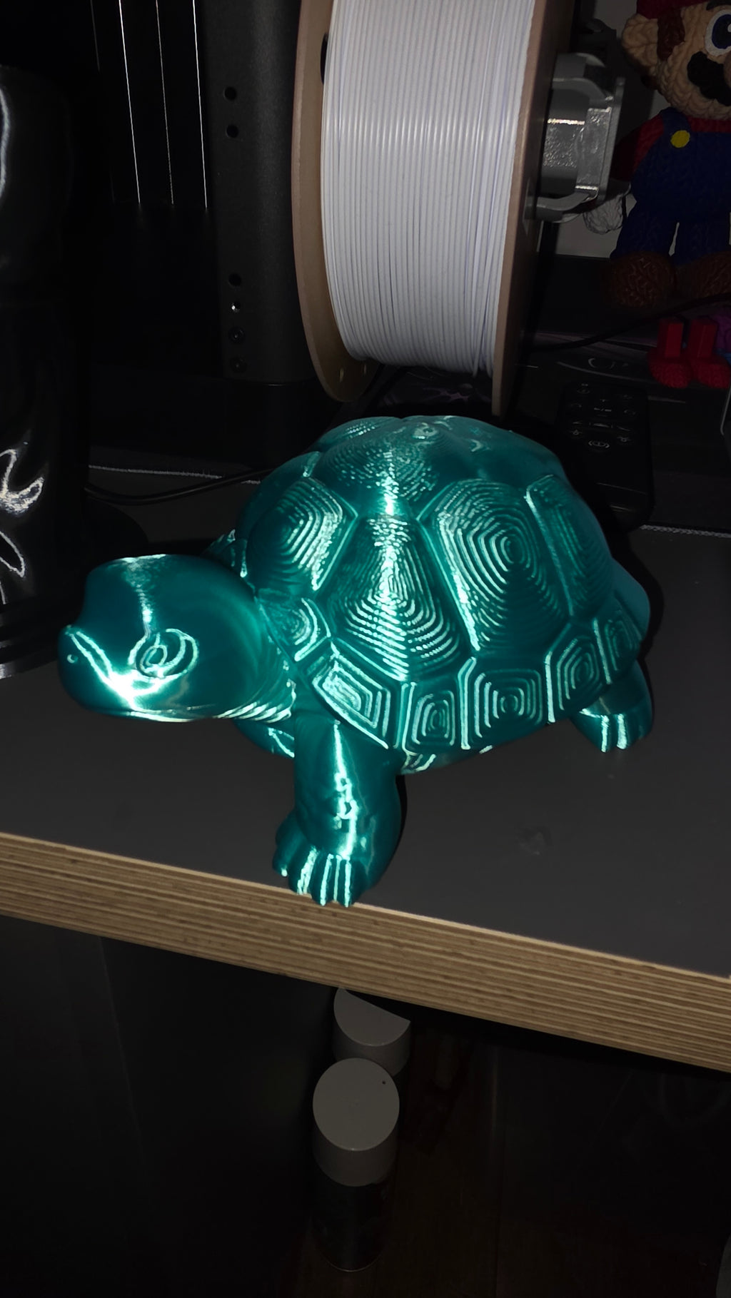 Tilly Tortoise