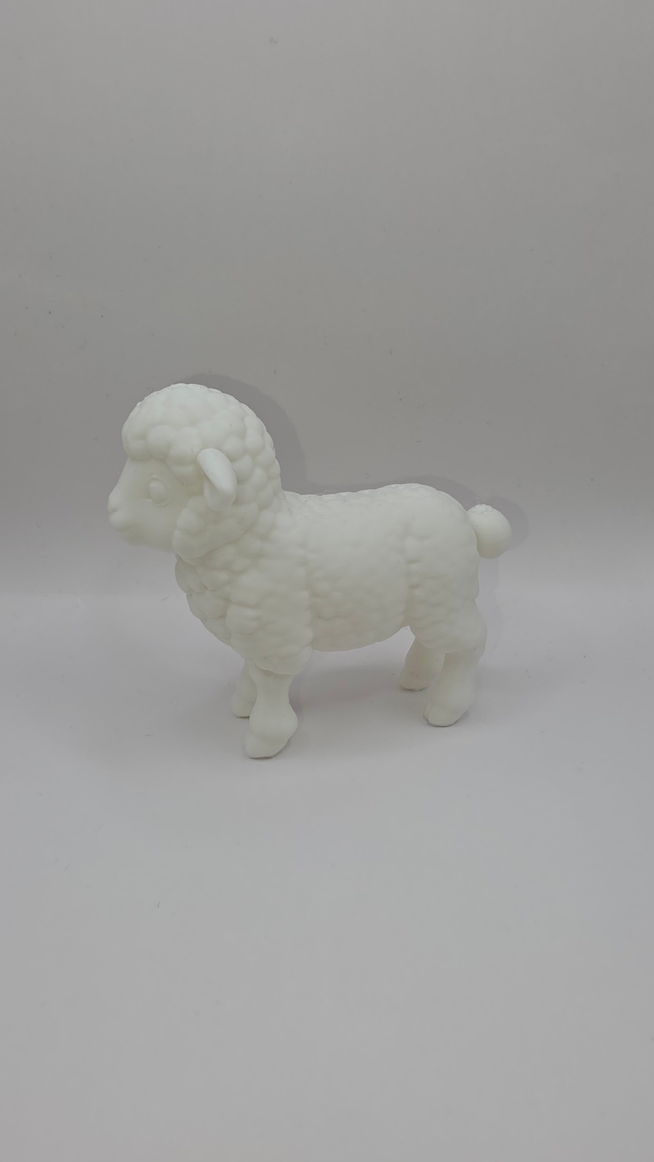 Little Lamb