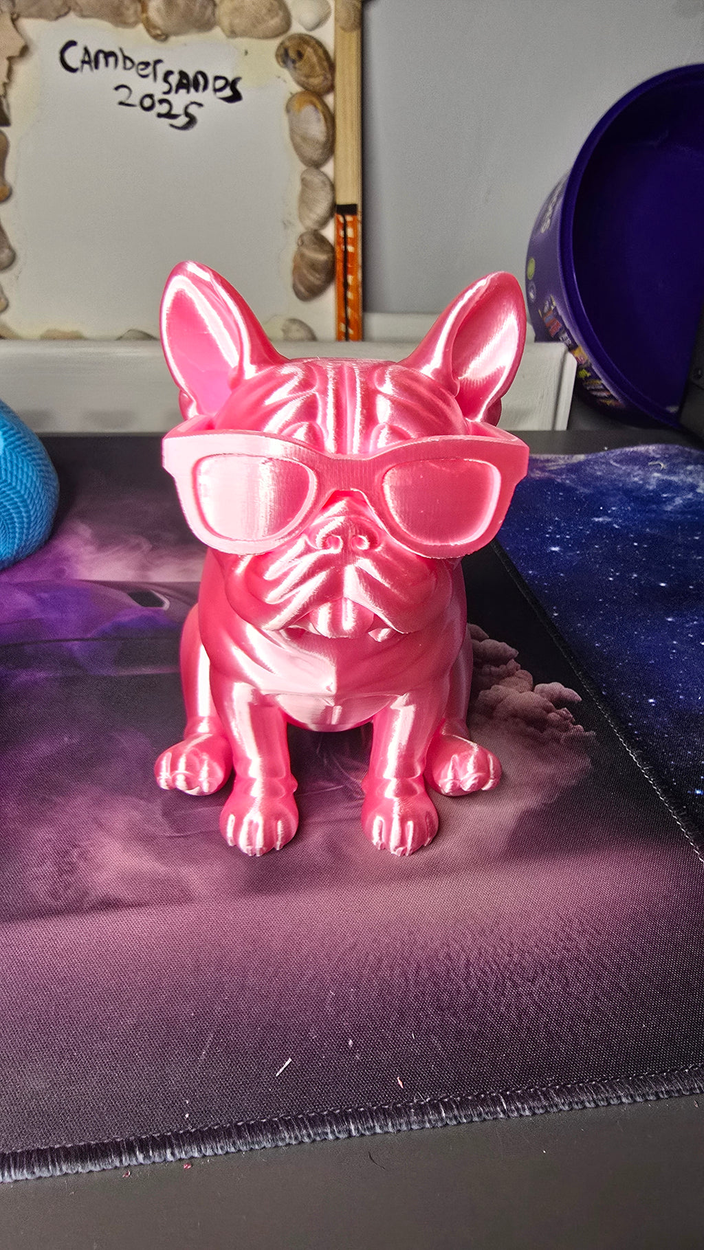 Sitting Frenchie with glasses