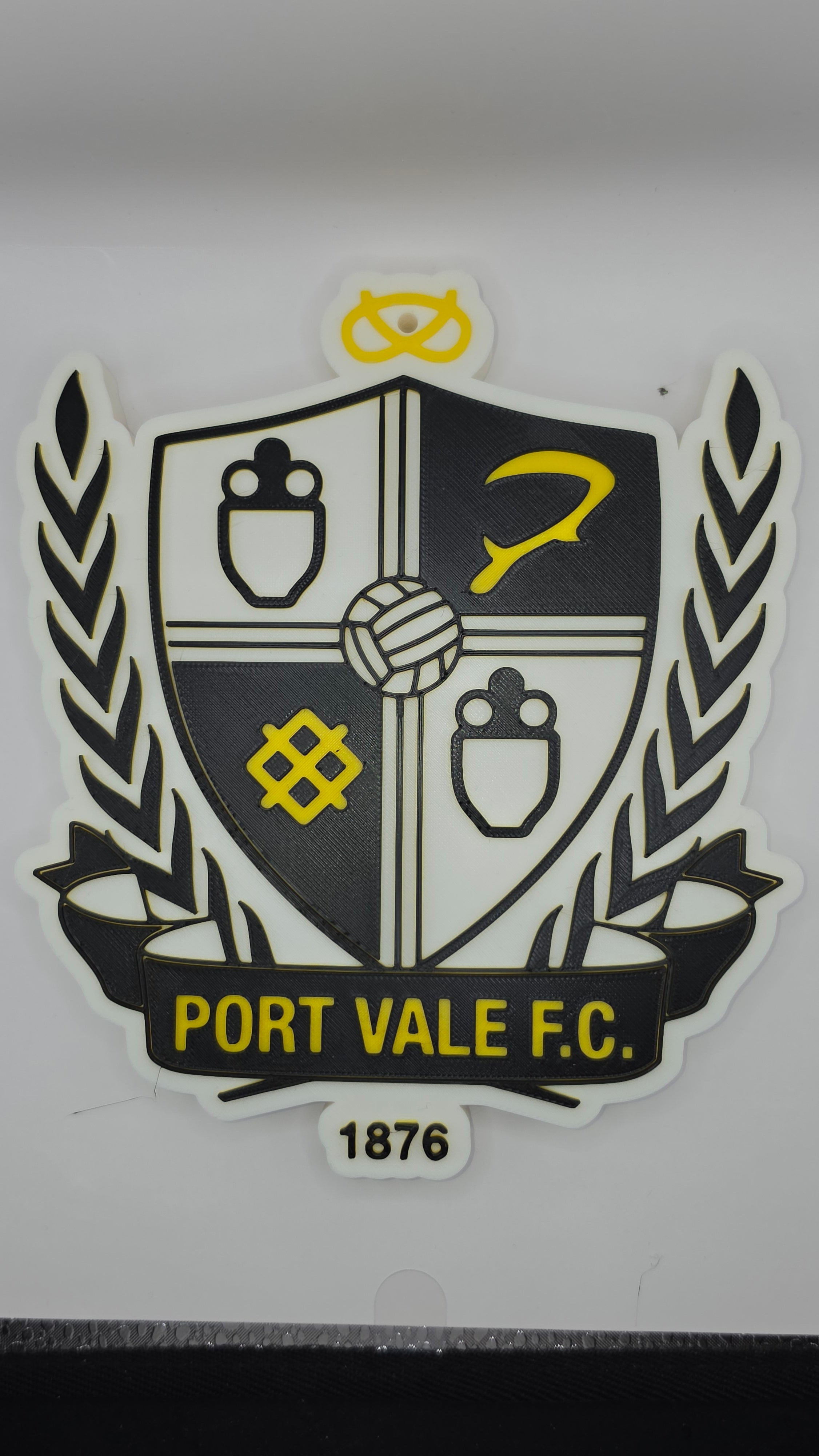 Port Vale WallSign