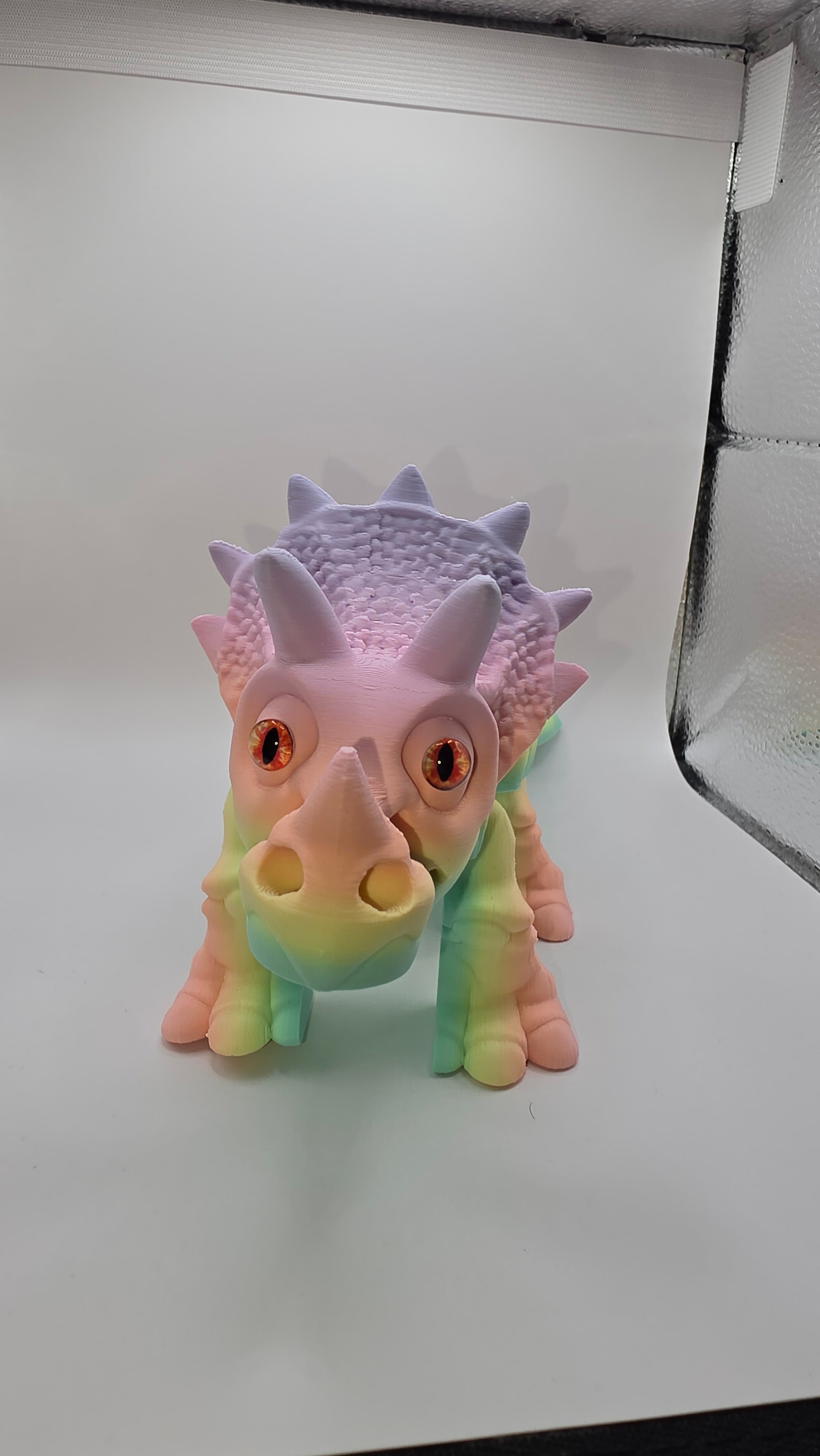 Triceratops